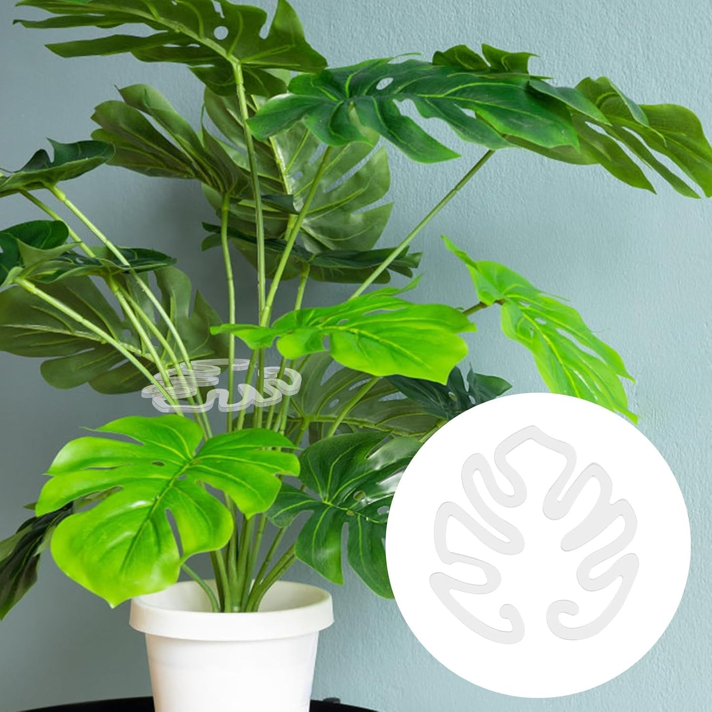 Gennemsigtig plantepind i akryl formet som et Monstera-blad | Usynlig støtte til stammer på indendørs potteplanter 🌿