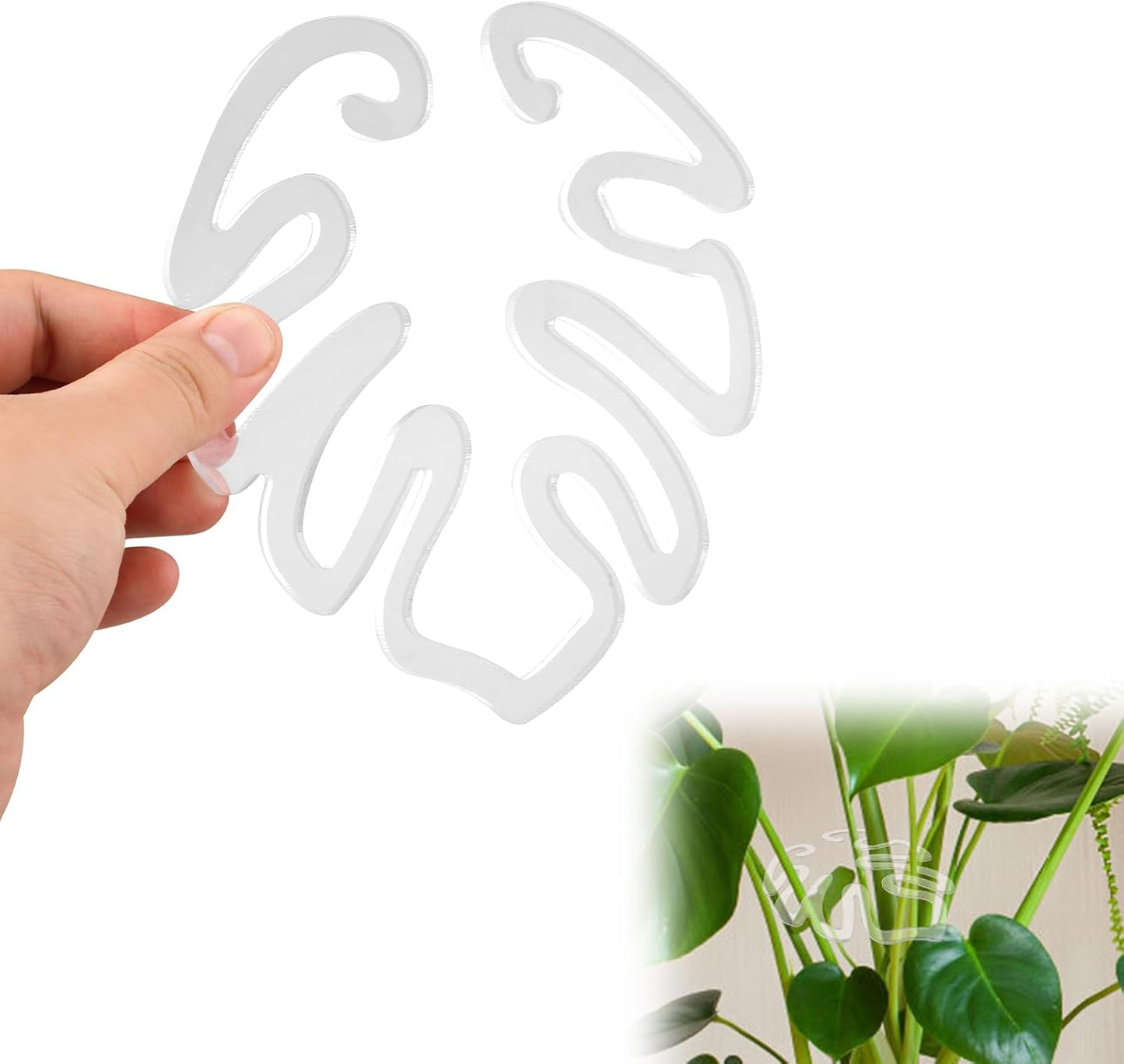 Gennemsigtig plantepind i akryl formet som et Monstera-blad | Usynlig støtte til stammer på indendørs potteplanter 🌿
