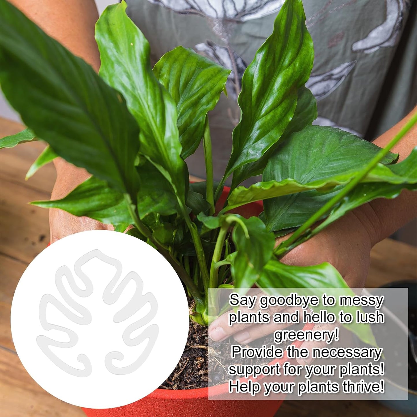 Gennemsigtig plantepind i akryl formet som et Monstera-blad | Usynlig støtte til stammer på indendørs potteplanter 🌿