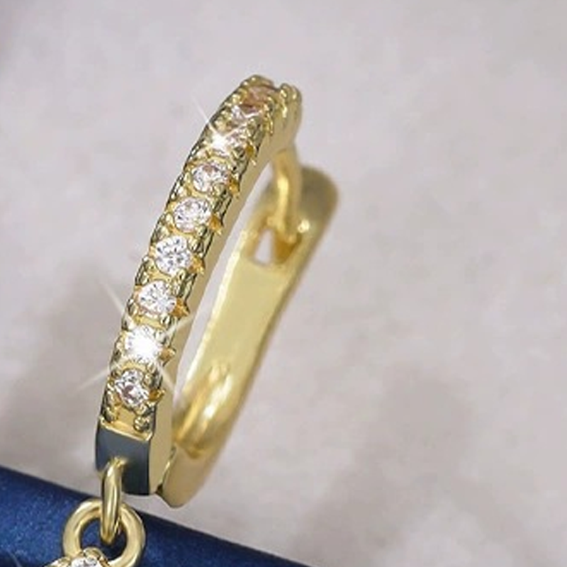 ✨Eleganta droppformade hängande hoop-örhängen